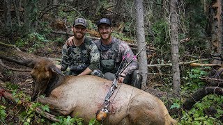 TRADITIONAL ARCHERY ELK HUNT WITH MTN OPS AND TRADGEEKS [upl. by Nybor]