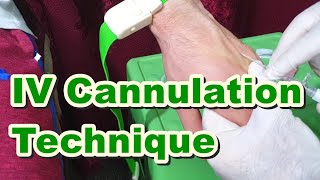 How to Insert IV Cannula  IV Cannulation Technique  Branula  Intravenous Catheter [upl. by Franchot721]