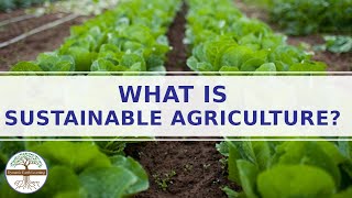 Sustainable Farming Explainer Video Sustainable Agriculture [upl. by Todhunter464]