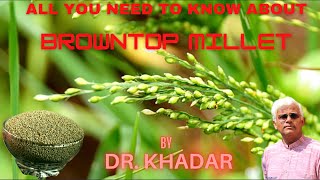 Everything You Need to Know About BROWNTOP MILLET  Dr KHADAR [upl. by Clea]