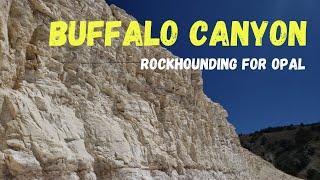 Bountiful Opal Treasure at Buffalo Canyon NV S1E18 [upl. by Seavey407]