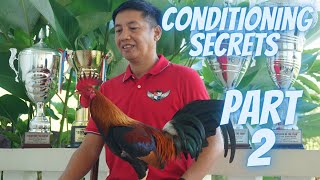 Part 2  Ang Sikreto Sa Pagkukundisyon Ng Manok Panabong [upl. by Dirk]