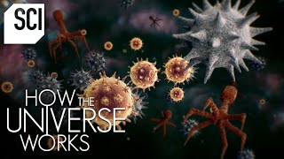 The Invisible Microcosmos  How the Universe Works [upl. by Nauqal]