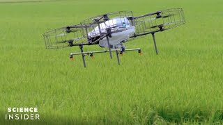 How Japan Is Reshaping Its Agriculture By Harnessing SmartFarming Technology [upl. by Joyce]