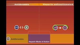 Heparin animation [upl. by Jessalyn]