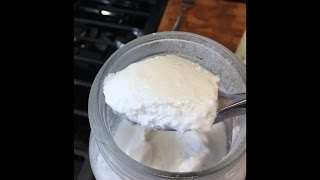 EASY Instant Pot Coconut Milk Yogurt Recipe [upl. by Rimola]