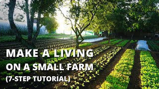 How to Start a Farm From Scratch Beginners Guide to Growing Vegetables for Profit [upl. by Bela]