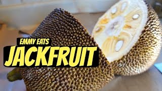 Tasting Jackfruit amp How to Open It [upl. by Cesaro]