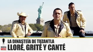 La Dinastía De Tuzantla  Lloré Grité Y Canté Video Oficial morenamusic [upl. by Bentley]