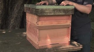 How to Make your Own Beehive [upl. by Fradin]