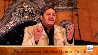 DAI HALEEMA DEWEY SOHNEY NU  SHAHBAZ QAMAR FAREEDI  OFFICIAL HD VIDEO  HITECH ISLAMIC [upl. by Okoy]