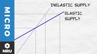 Elasticity of Supply [upl. by Aicia]