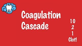 Coagulation Cascade  Hemostasis Part 2 [upl. by Nikkie513]