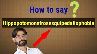 Hippopotomonstrosesquipedaliophobia  How to say  Pronunciation [upl. by Danczyk]