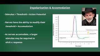 Introduction to Electrical Stimulation [upl. by Kohsa508]