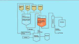 Biodiesel Animation [upl. by Hofmann]