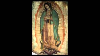 Virgin of Guadalupe [upl. by Mervin379]