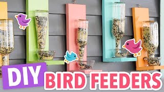 DIY Bird Feeders [upl. by Samuel]