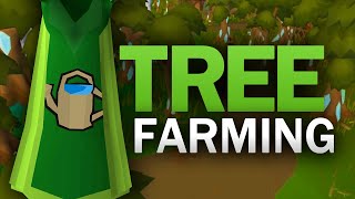 Complete Tree Farming Guide for OSRS [upl. by Yneffit]