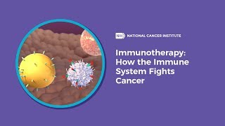 Immunotherapy How the Immune System Fights Cancer [upl. by Knowles]