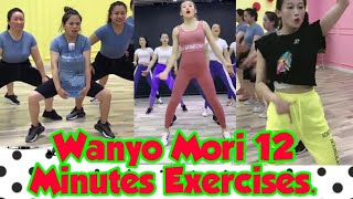 12 minutes Work Out Collections of Wanyo Mori [upl. by Anaeerb55]