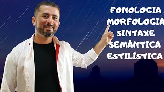 GRAMÁTICA FONOLOGIA MORFOLOGIA SINTAXE SEMÂNTICA E ESTILÍSTICA [upl. by Ylreveb82]