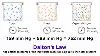 Daltons Law and Partial Pressures [upl. by Ulyram]