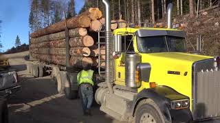 A Nice Day For A Log Truck Ride [upl. by Melisandra524]