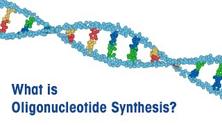 What is Oligonucleotide Synthesis [upl. by Aikemaj116]