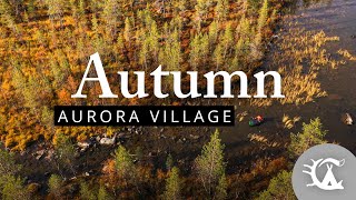 Autumn at Aurora Village Ivalo Lapland 4K VIDEO [upl. by Temhem]