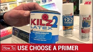 How To Choose A Paint Primer  Ace Hardware [upl. by Chelsie439]