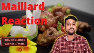 Maillard Reaction vs Caramelisation What is maillard reaction Fully explainedwithin 3 mins [upl. by Narhet195]