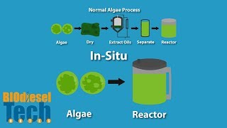 Biodiesel Production Methods [upl. by Parris]