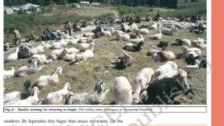 Class 9 History Chapter 5 Pastoralists In The Modern World Part 1 Hindi Explanation [upl. by Jehanna]