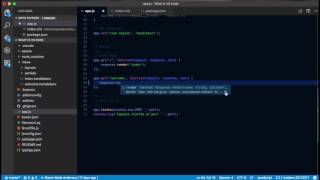 VS Code  IntelliSense [upl. by Annuaerb]