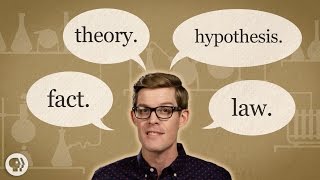 Fact vs Theory vs Hypothesis vs Law… EXPLAINED [upl. by Mcclimans943]