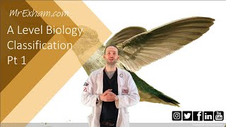 Classification Part 1  A Level Biology [upl. by Goodman]