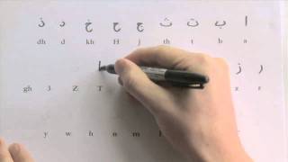 How to write the Arabic alphabet  free worksheet slow version [upl. by Ignazio]