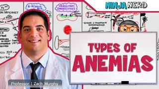 Hematology  Types of Anemias [upl. by Doralin]