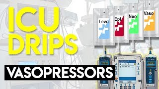 Vasopressors Part 1  ICU Drips [upl. by Carissa]