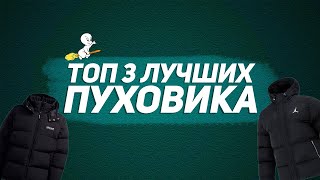 ТОП 3 ЛУЧШИХ ПУХОВИКА НА ЗИМУ 2024 [upl. by Ttenaej]