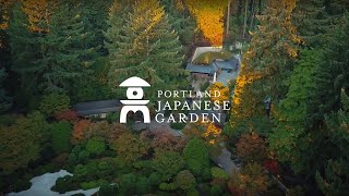 Come to Understand Welcome to Portland Japanese Garden [upl. by Rubens703]