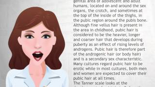 Pubic hair  Wiki Videos [upl. by Bordie]