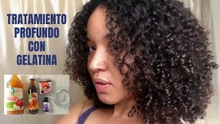 Repara Tu Cabello Tratamiento Profundo Con Gelatina [upl. by Sissie]