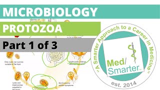 Protozoa  Microbiology  USMLE STEP 1  Part 1 of 3 [upl. by Soph543]