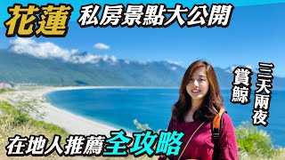 花蓮私房景點大公開｜在地人推薦全攻略｜三天兩夜賞鯨之旅 [upl. by Dlorah673]