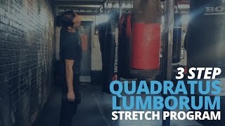 3 Step Quadratus Lumborum Stretch Program [upl. by Akiehs338]