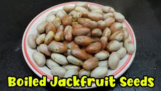 How to Cook Jackfruit Seeds  Boil Jackfruit Seeds [upl. by Hecht]