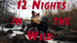 12 Nights in the Wilderness With a Puppy [upl. by Hyams]