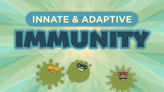 Innate amp Adaptive Immunity [upl. by Notxed]